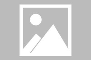 九游体育平台-英媒：阿森纳想签克鲁皮、小蜘蛛、罗杰斯，均面临与巴黎的竞争